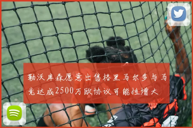 勒沃库森愿意出售格里马尔多与马竞达成2500万欧协议可能性增大