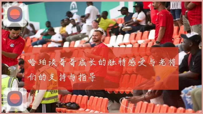 哈珀谈哥哥成长的独特感受与老将们的支持与指导